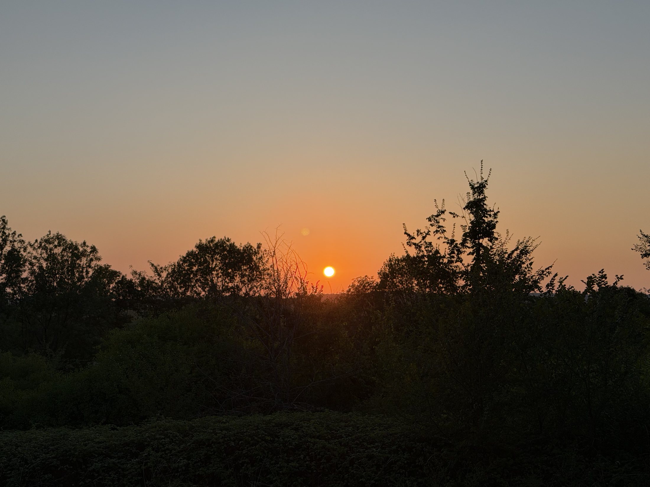 Sonnenuntergang über den Bäumen am Manoir Comté